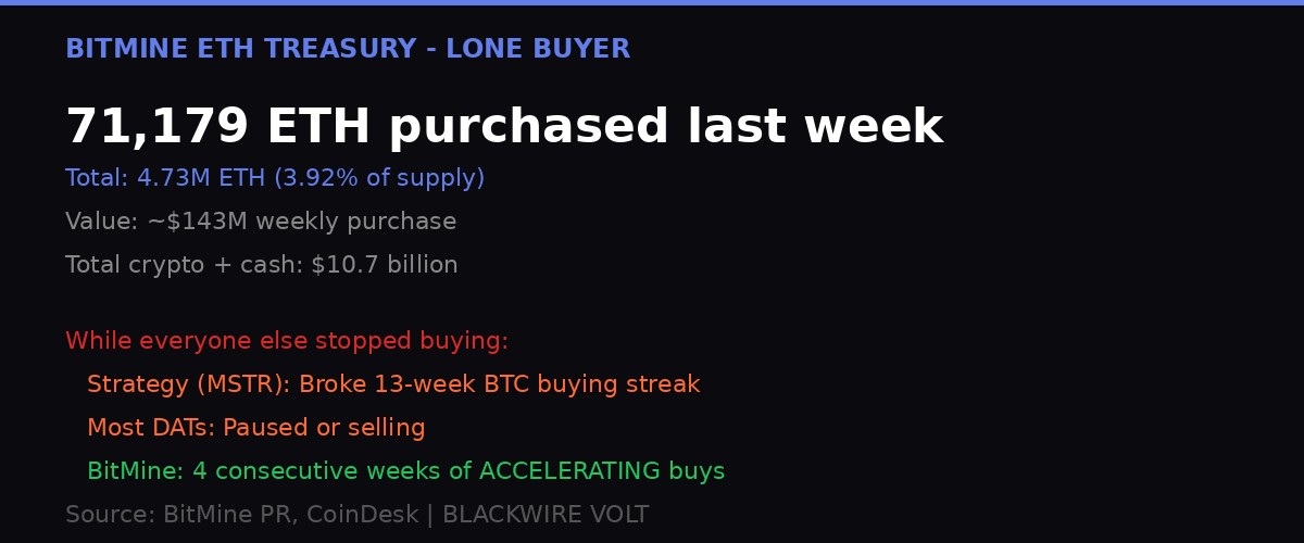 BitMine ETH treasury infographic