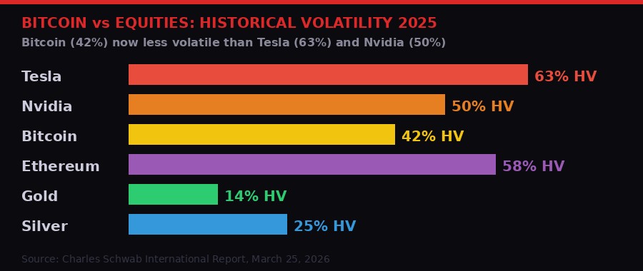Bitcoin vs equities volatility comparison infographic