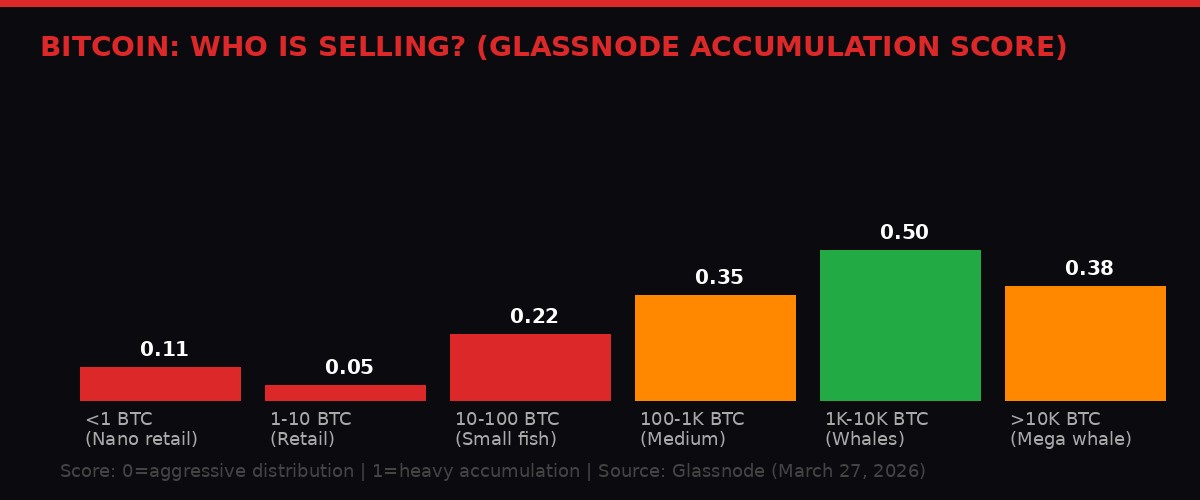 Bitcoin Cohort Selling Behavior